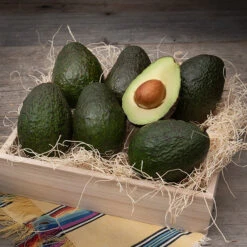 Refreshing Sangria Gift -Cheap Gift Baskets Store FRU019