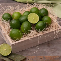 Holiday Healthy Hydration -Cheap Gift Baskets Store FRU020